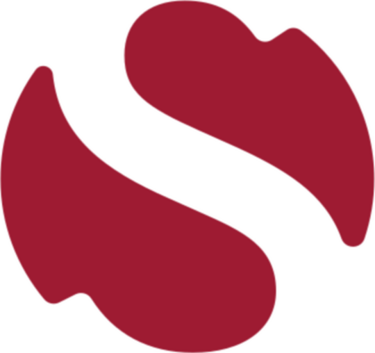 Sevaer Digital logo with crimson swirl